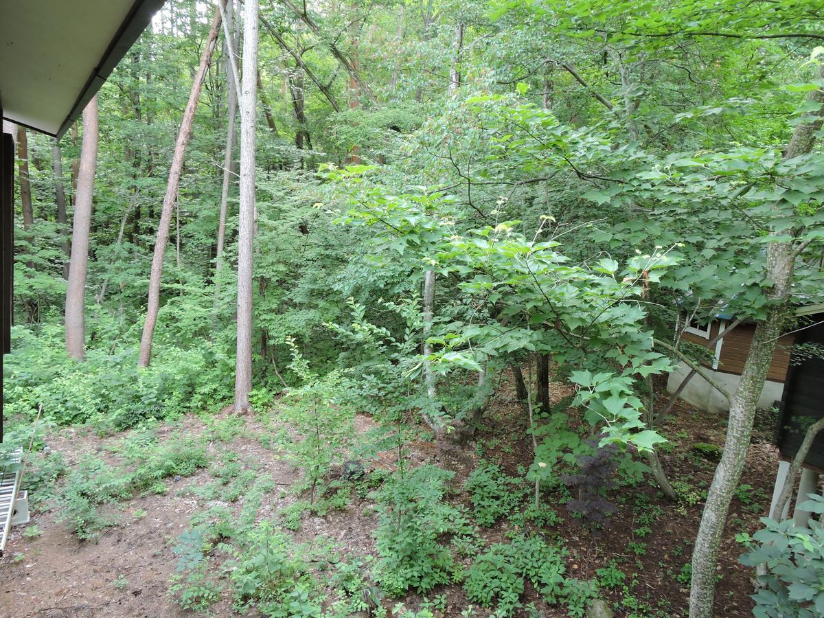 Momiji Guesthouse Cottages - Alpine Route โอมาจิ ภายนอก รูปภาพ